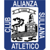 Team logo
